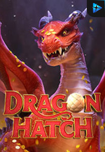 Bocoran RTP Dragon Hatch di TOTOLOKA88 Generator RTP SLOT 4D Terlengkap